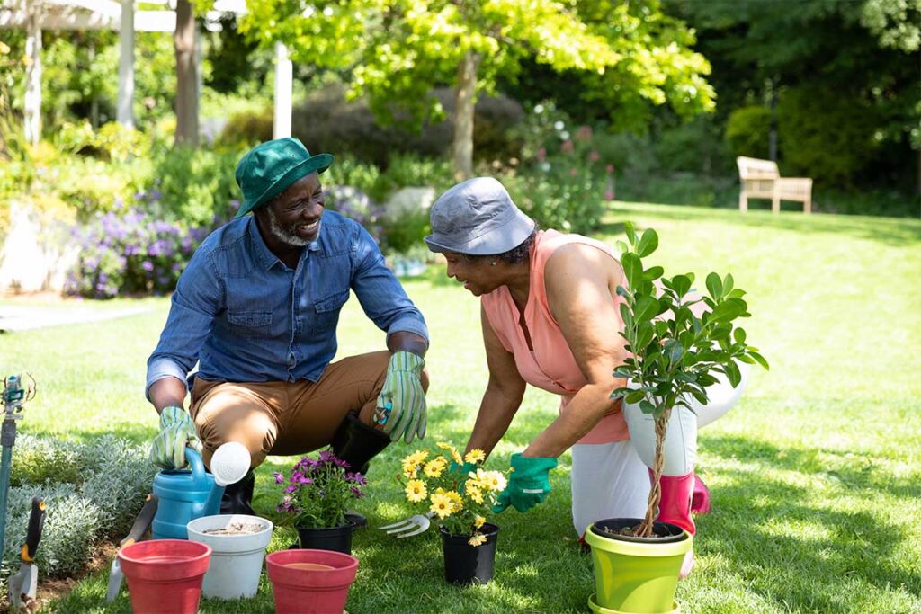 an older couple gardens together